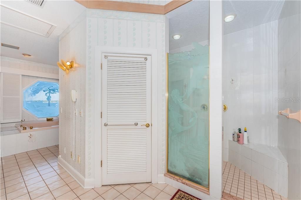 Master with its large tub area and shower