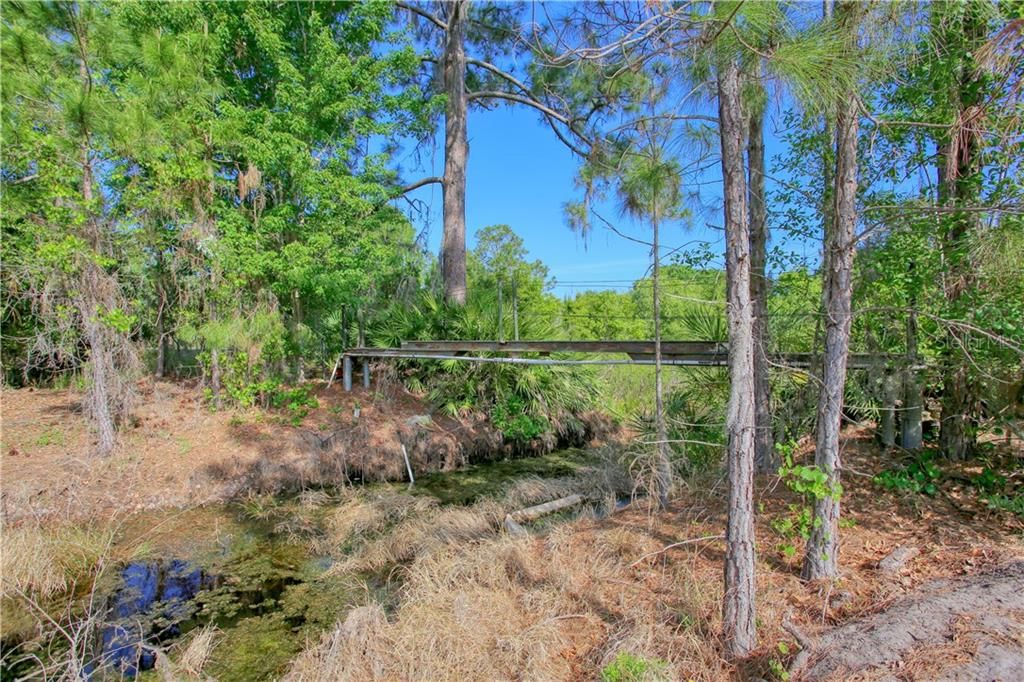 Footbridge over pond