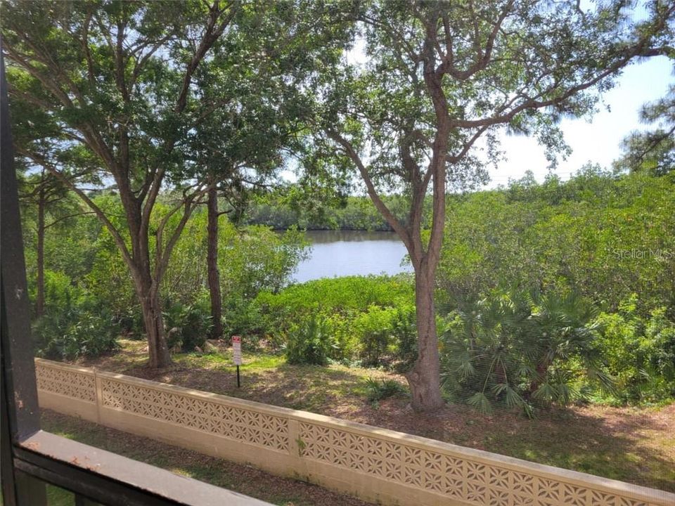 View of Bayou from family room and back screened lanai.