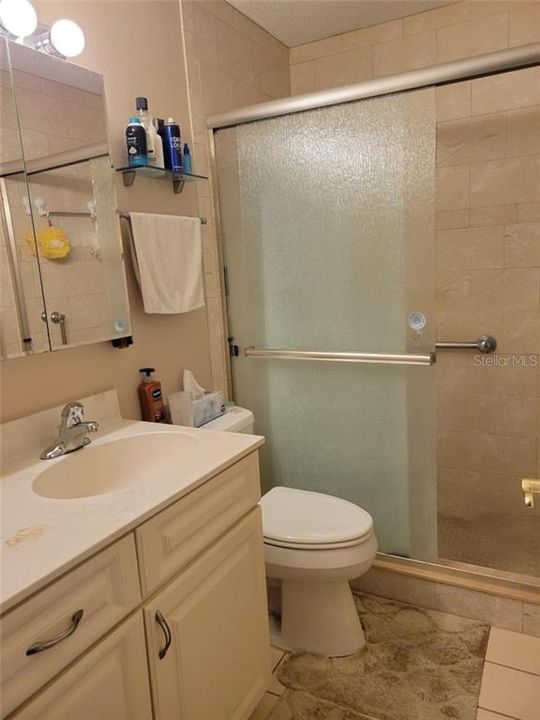 Remodeled master bath has high top toilet, newer tile in the shower.