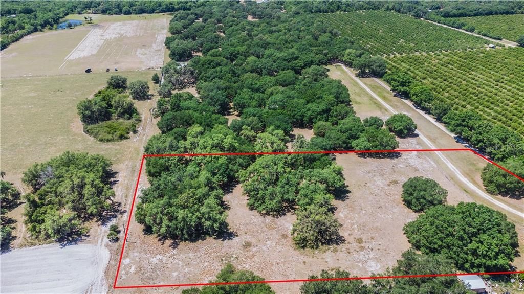 5 acre parcel with SW Koch Rd on the right in this picture.