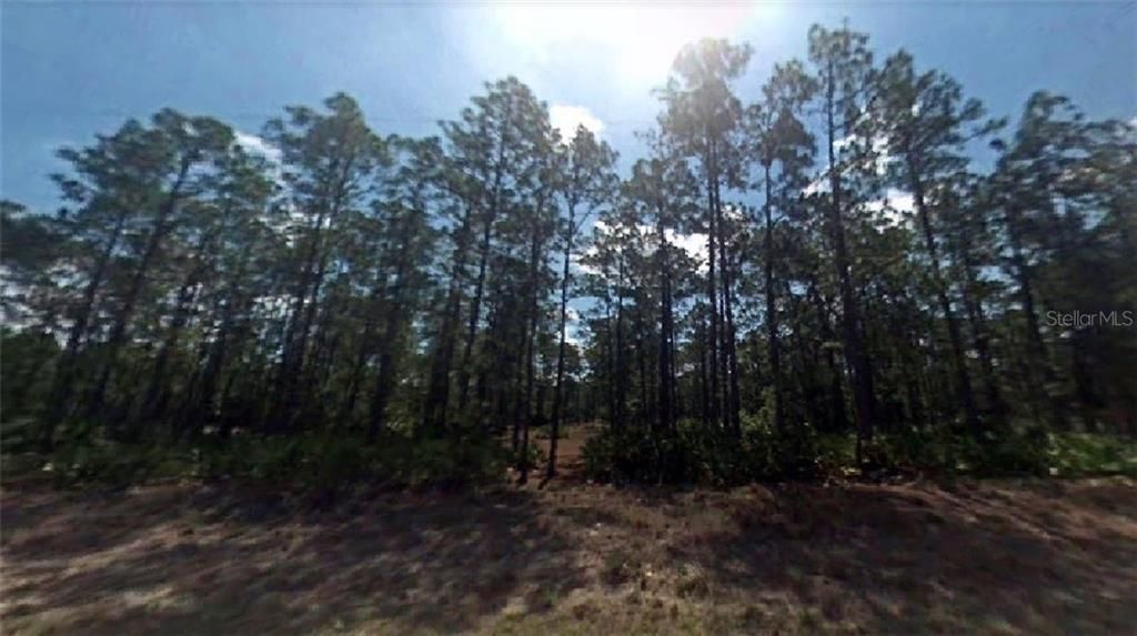 Vendido Recientemente: $8,000 (0.50 acres)