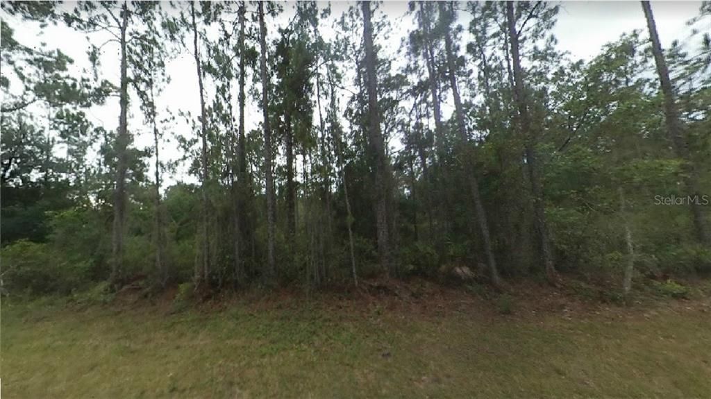 Recently Sold: $11,995 (0.50 acres)