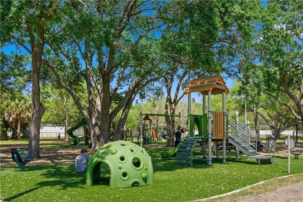 Brand new playground in your neighborhood! Blossom Lake Park