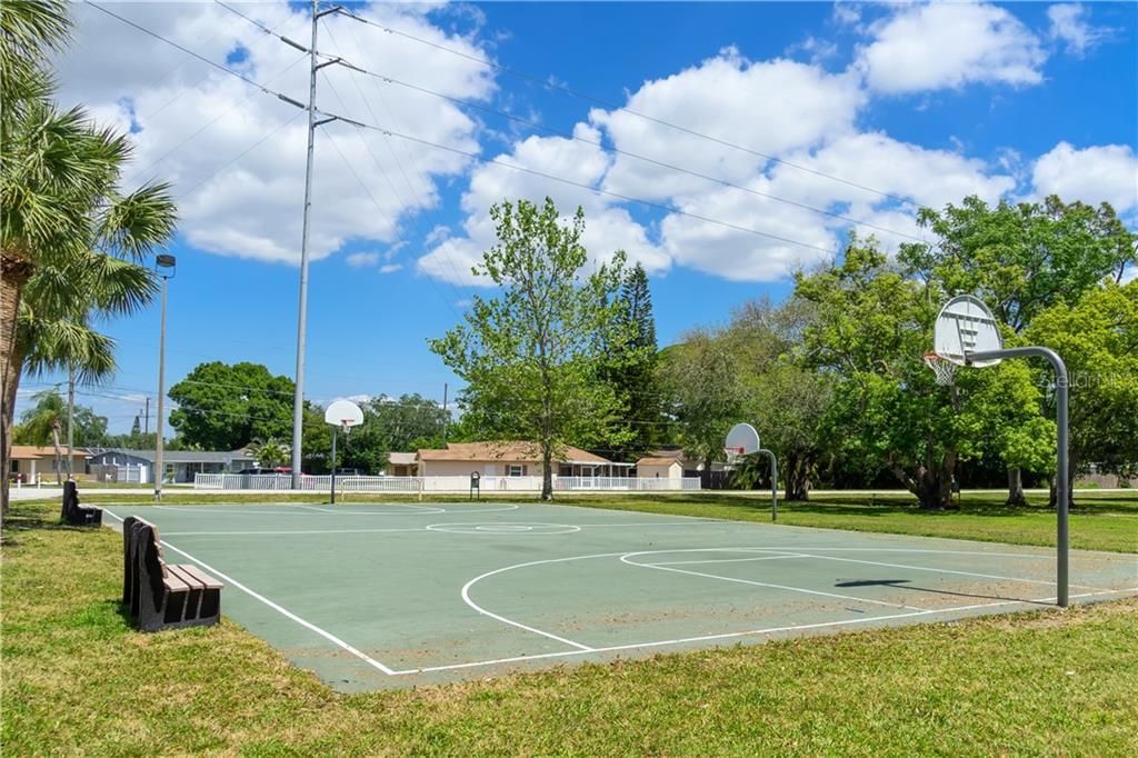 Blossom Lake Park Basketball Courts in your neighborhood
