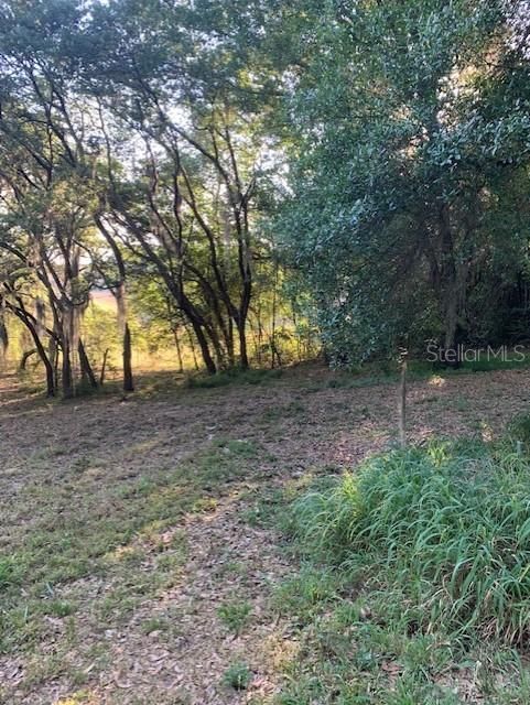 Recently Sold: $58,900 (0.43 acres)