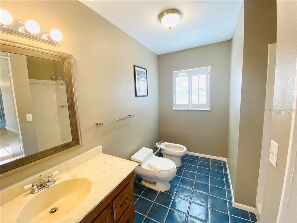 Master bath complete with a walk in shower, bidet, plantation shutters, and vanity.