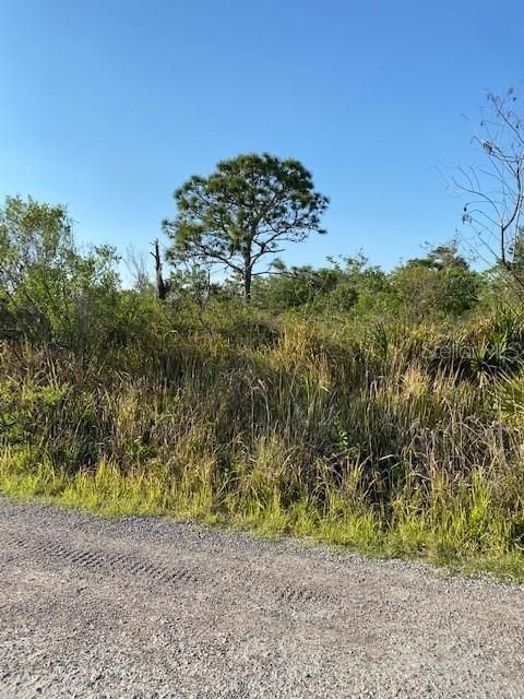 Vendido Recientemente: $72,500 (5.02 acres)