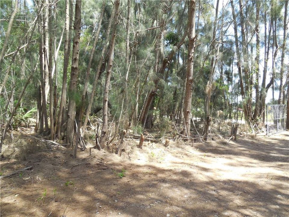 Vendido Recientemente: $95,000 (4.79 acres)