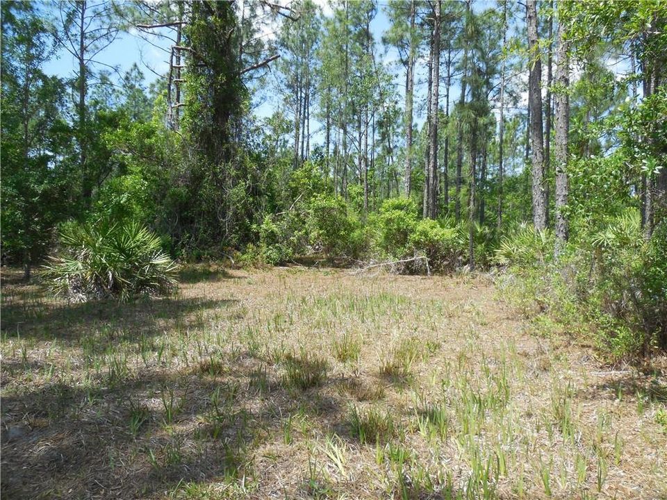 Recently Sold: $95,000 (4.79 acres)