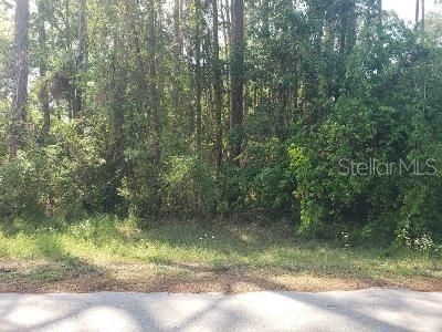 Recently Sold: $19,900 (0.24 acres)