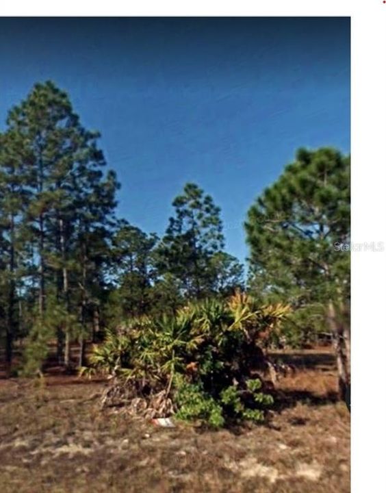 Recently Sold: $9,950 (0.50 acres)