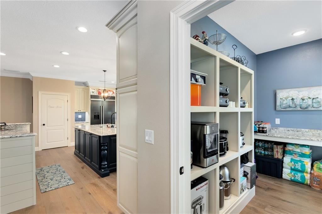 Expansive Pantry with Space for Large Appliances, Custom Cabinetry and Granite Counter