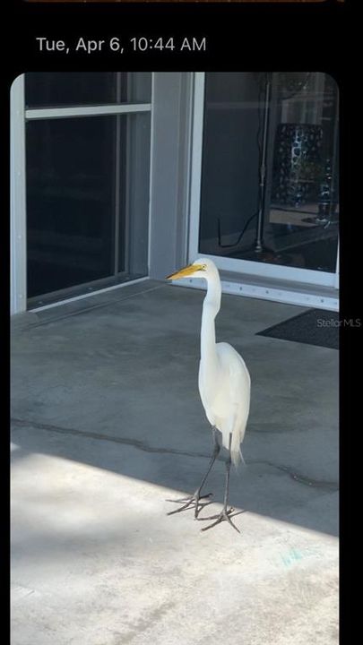 出租: $4,000 (2 贝兹, 2 浴室, 1393 平方英尺)