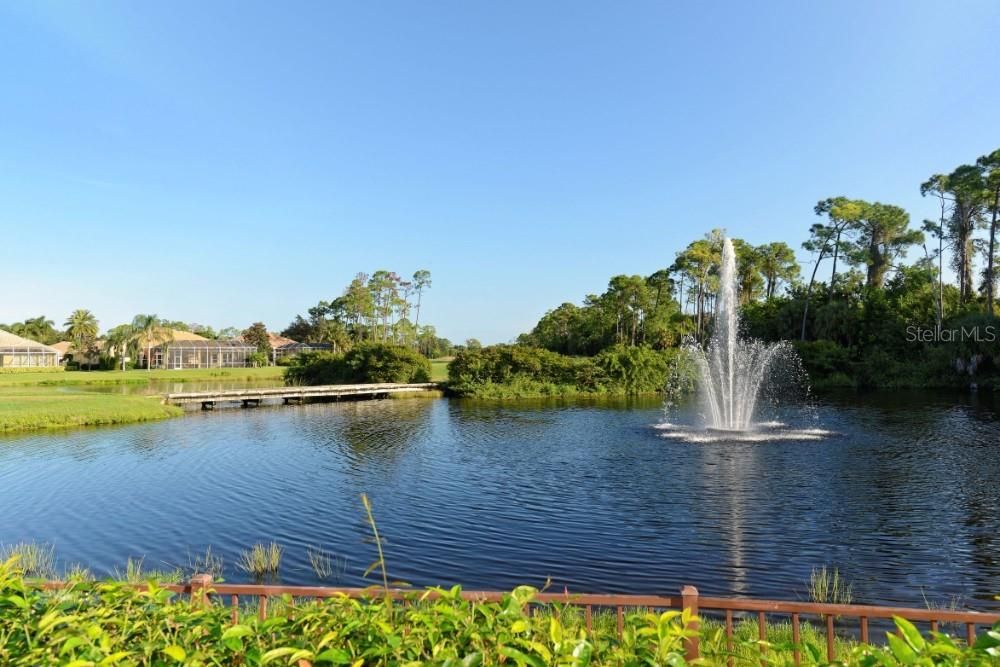 Soothing fountain and many lakes make Sawgrass a special community.