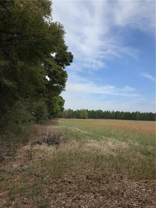 Recently Sold: $190,000 (20.00 acres)