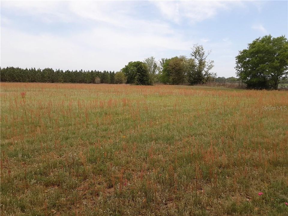 Recently Sold: $190,000 (20.00 acres)