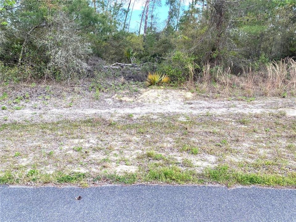 Recently Sold: $18,000 (0.31 acres)