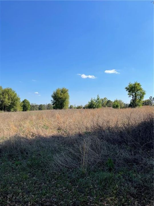 Recently Sold: $199,900 (10.00 acres)