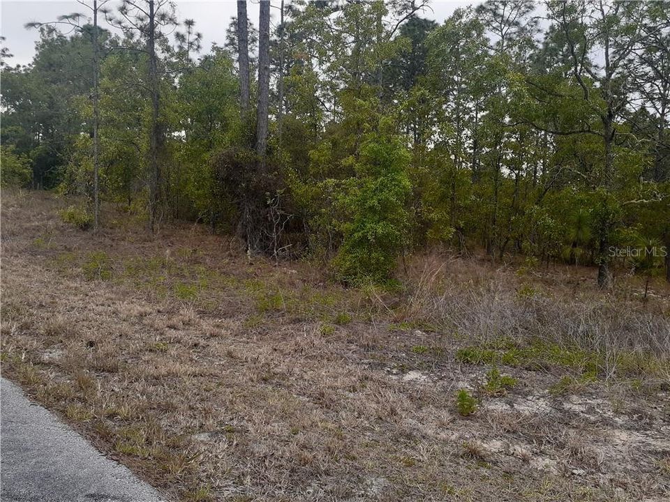 Recently Sold: $12,500 (0.99 acres)