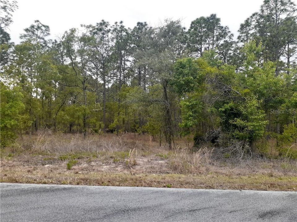 Recently Sold: $12,500 (0.99 acres)