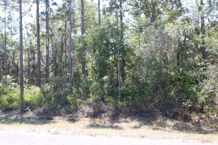 Recently Sold: $23,900 (0.17 acres)