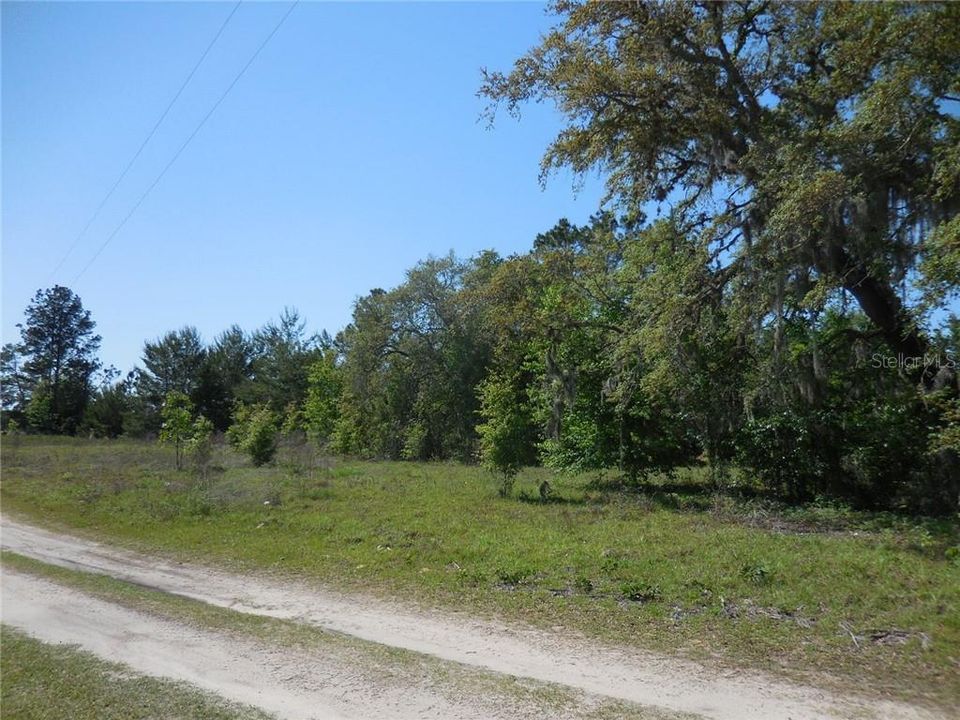 Recently Sold: $9,450 (1.25 acres)