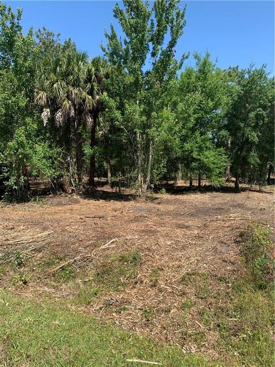 Vendido Recientemente: $55,000 (0.92 acres)