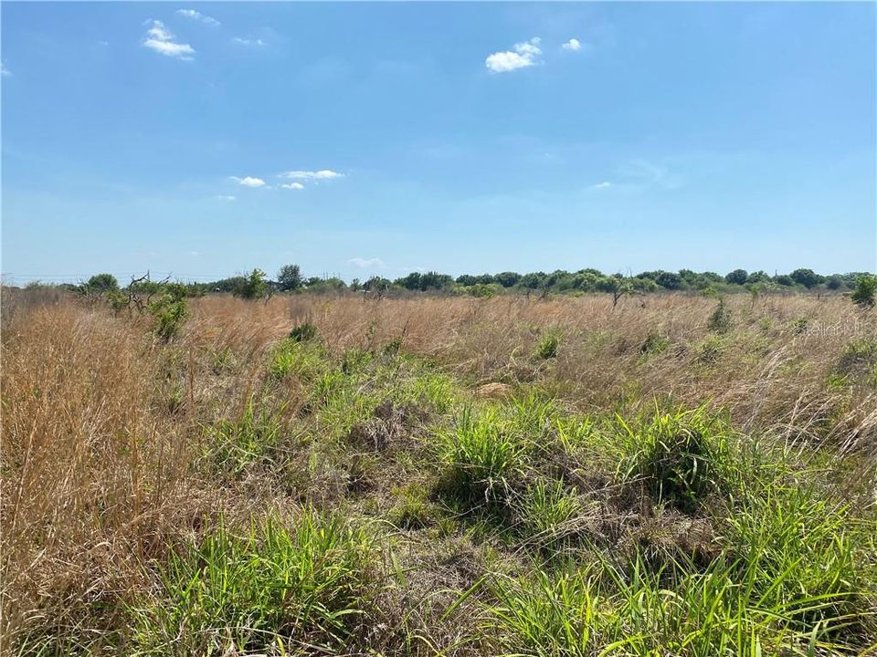 Recently Sold: $85,000 (5.00 acres)