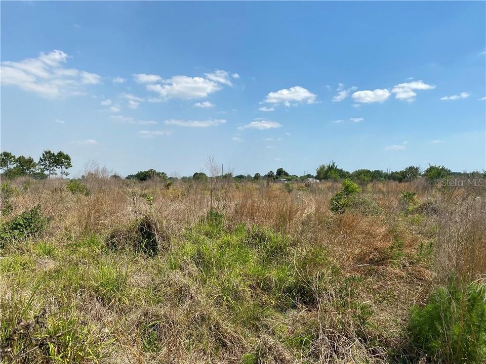 Vendido Recientemente: $85,000 (5.00 acres)