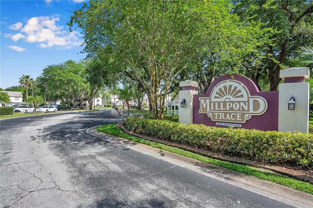Millpond Trace is a quaint community that has great greenery all throughout.