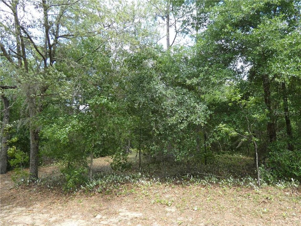 Recently Sold: $19,000 (1.20 acres)