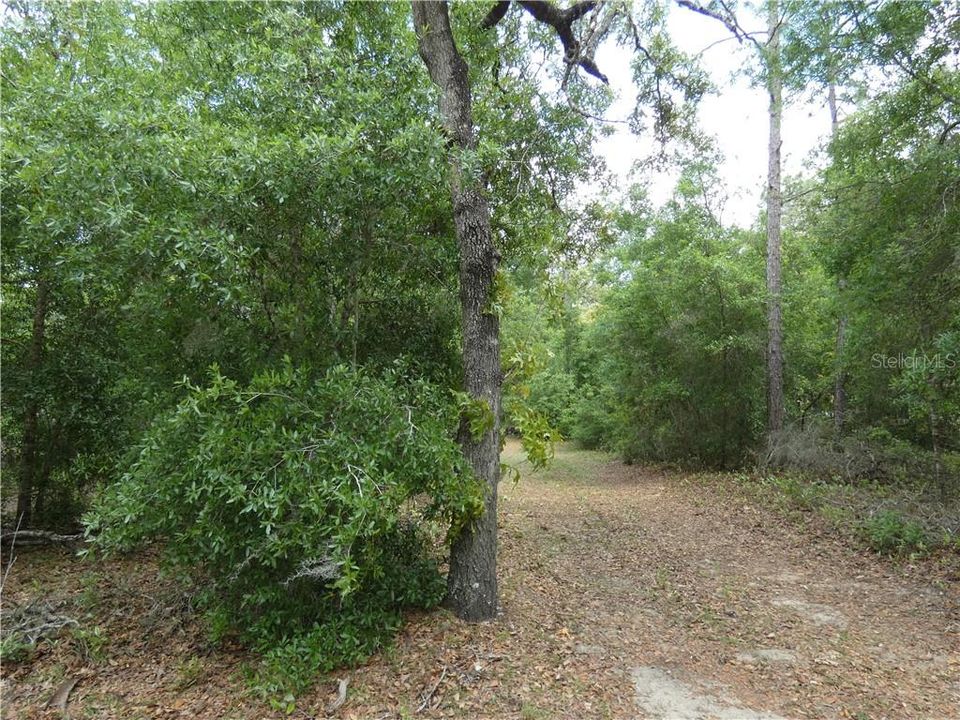 Recently Sold: $19,000 (1.20 acres)