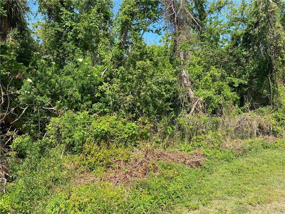 Recently Sold: $25,000 (0.30 acres)