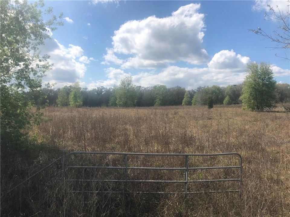 Recently Sold: $80,000 (2.75 acres)
