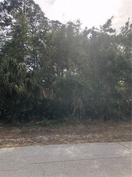 最近售出: $9,990 (0.23 acres)