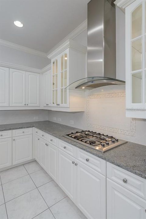 Gas cooktop and stainless hood