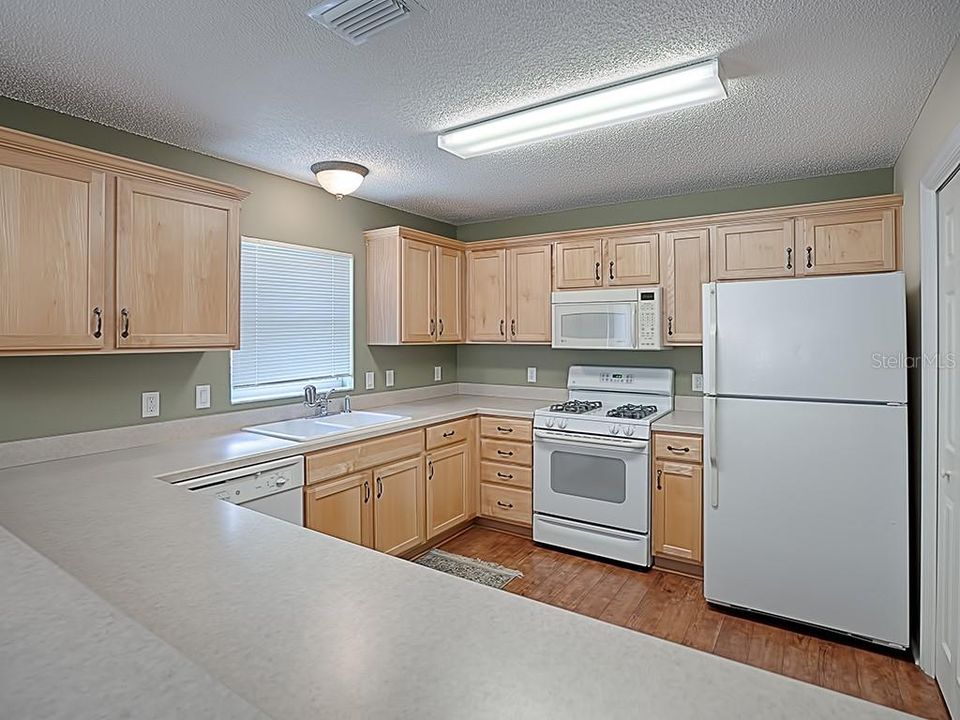 GREAT WORKING SPACE IN THIS SPACIOUS KITCHEN ... GAS RANGE TOO.  PANTRY CLOSET ON THE RIGHT.