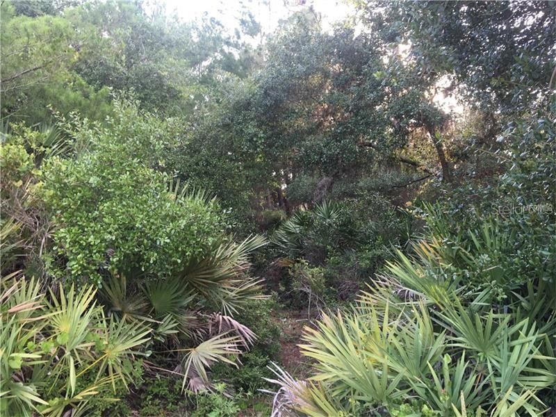 Vendido Recientemente: $12,000 (2.50 acres)