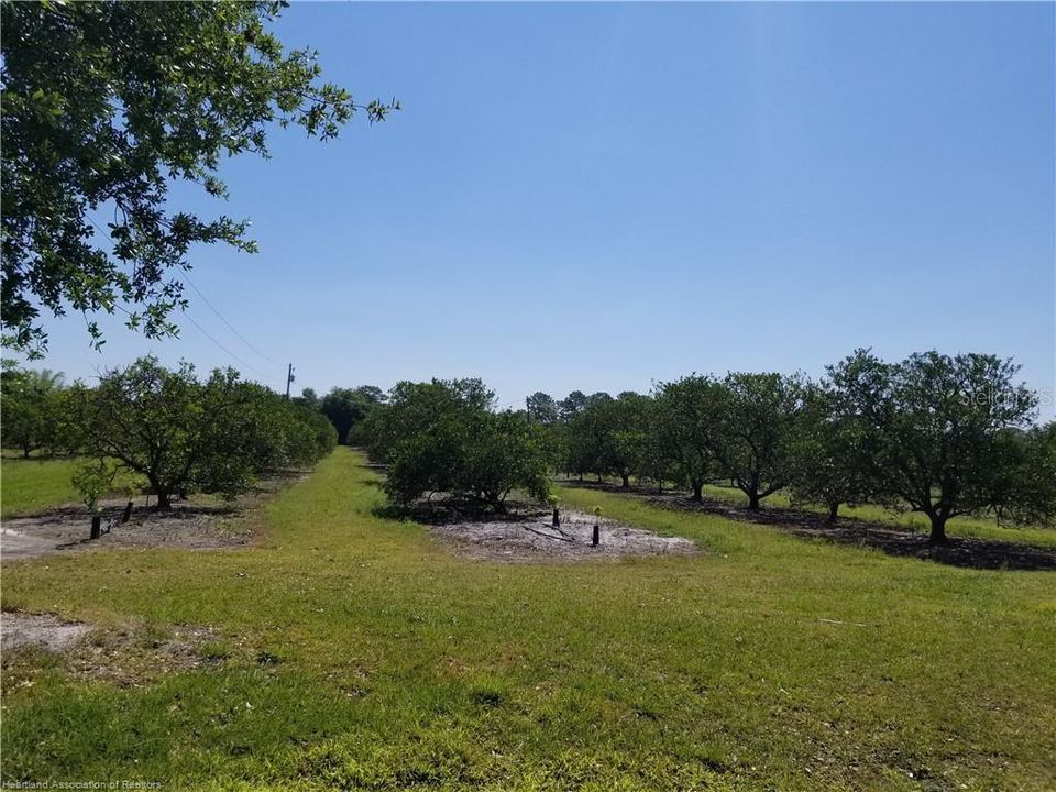 Recently Sold: $180,000 (10.00 acres)