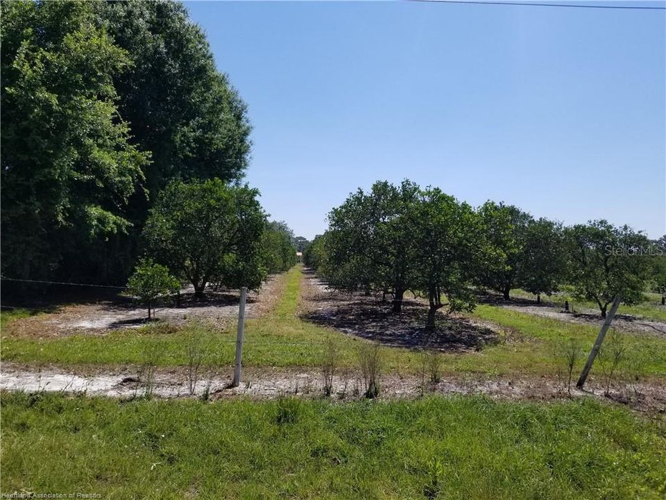 Recently Sold: $180,000 (10.00 acres)