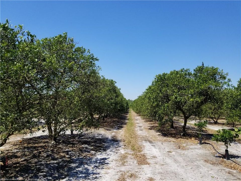 Recently Sold: $180,000 (10.00 acres)