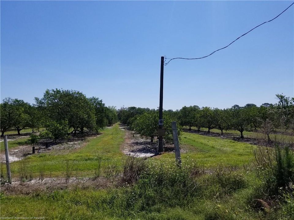 Recently Sold: $180,000 (10.00 acres)