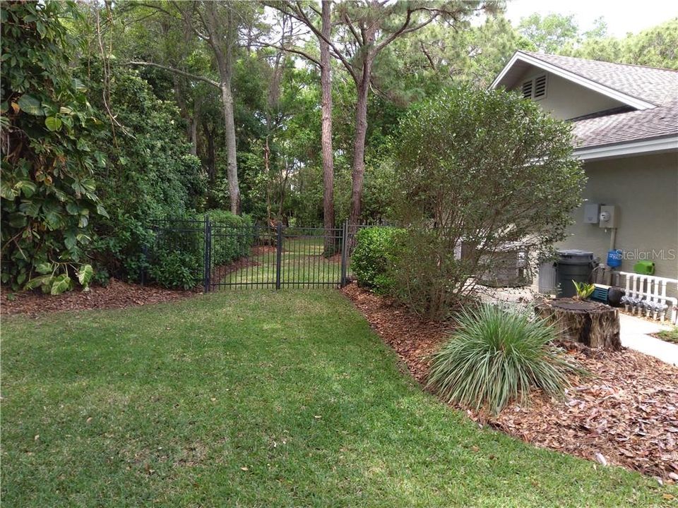 Double gate to backyard