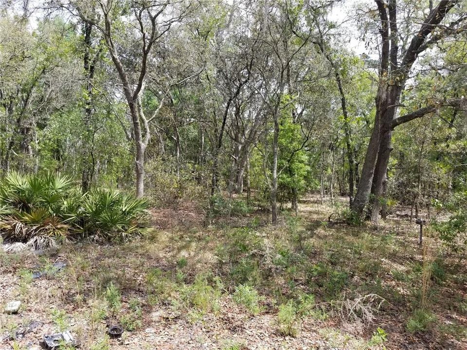 Recently Sold: $9,500 (1.01 acres)