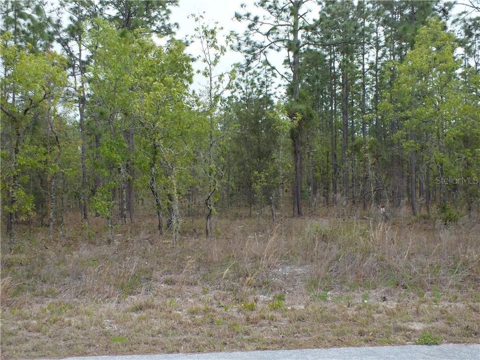 Recently Sold: $9,500 (1.00 acres)