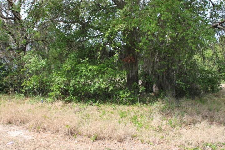Recently Sold: $36,900 (0.16 acres)