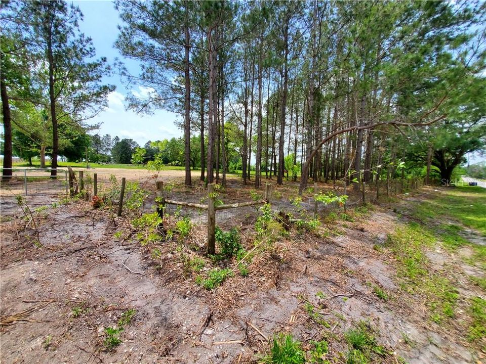 Vendido Recientemente: $129,900 (2.90 acres)