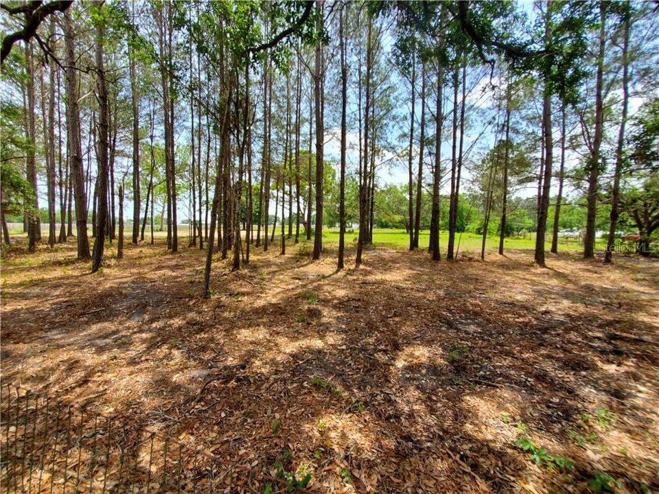 Vendido Recientemente: $129,900 (2.90 acres)