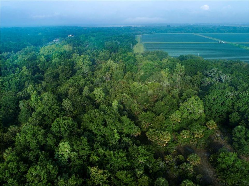 Vendido Recientemente: $104,900 (1.56 acres)